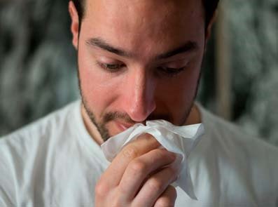 Hva er allergisk rhinitt
