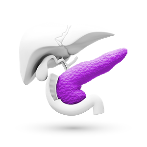 Eksokrin pankreas insuffisiens, symptomer, diagnostisering og behandling 